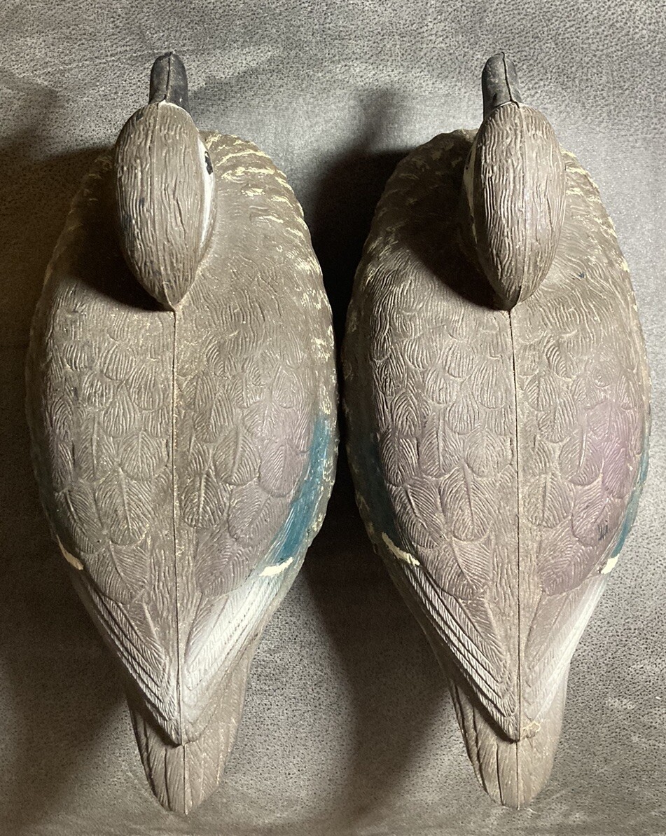 Vintage Carry-Lite Brevettato Blue-Wing Teal Duck Decoy- Italy – Hen – Lot Of 2