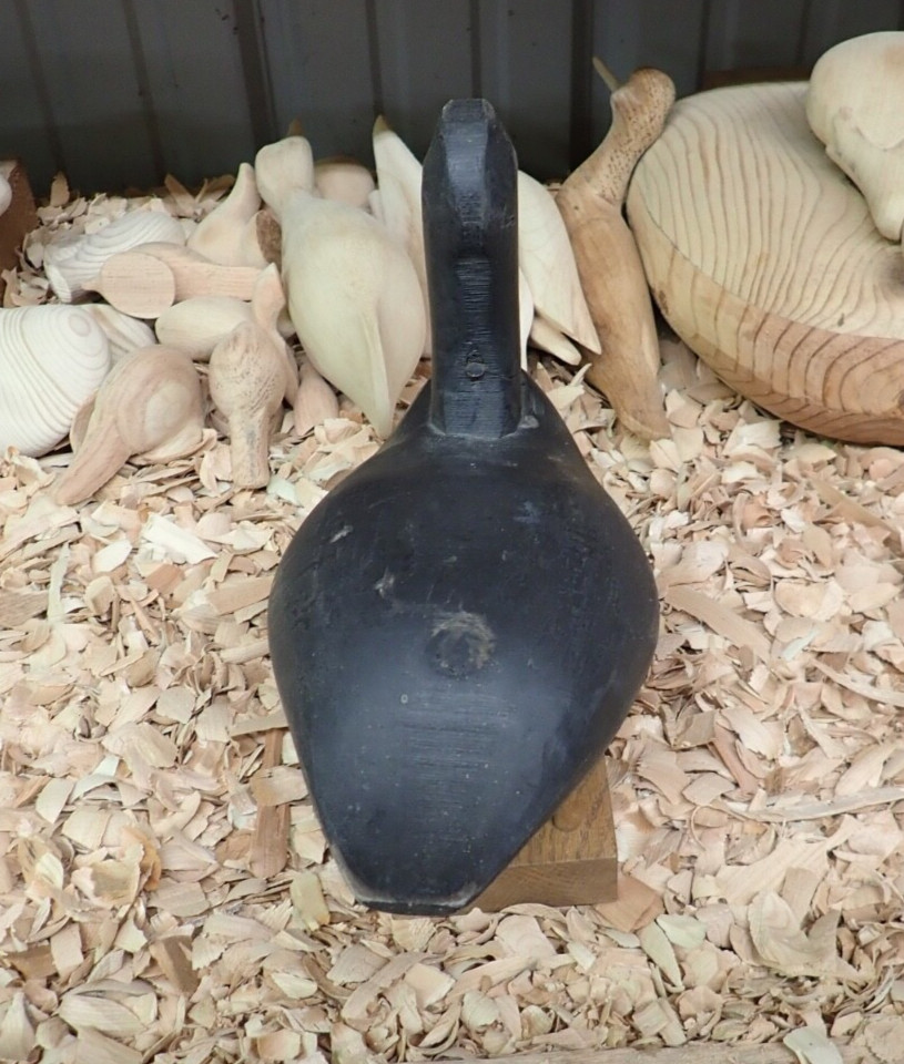 2018 Coot Decoy by Elkton Maryland Carver Joe Racine