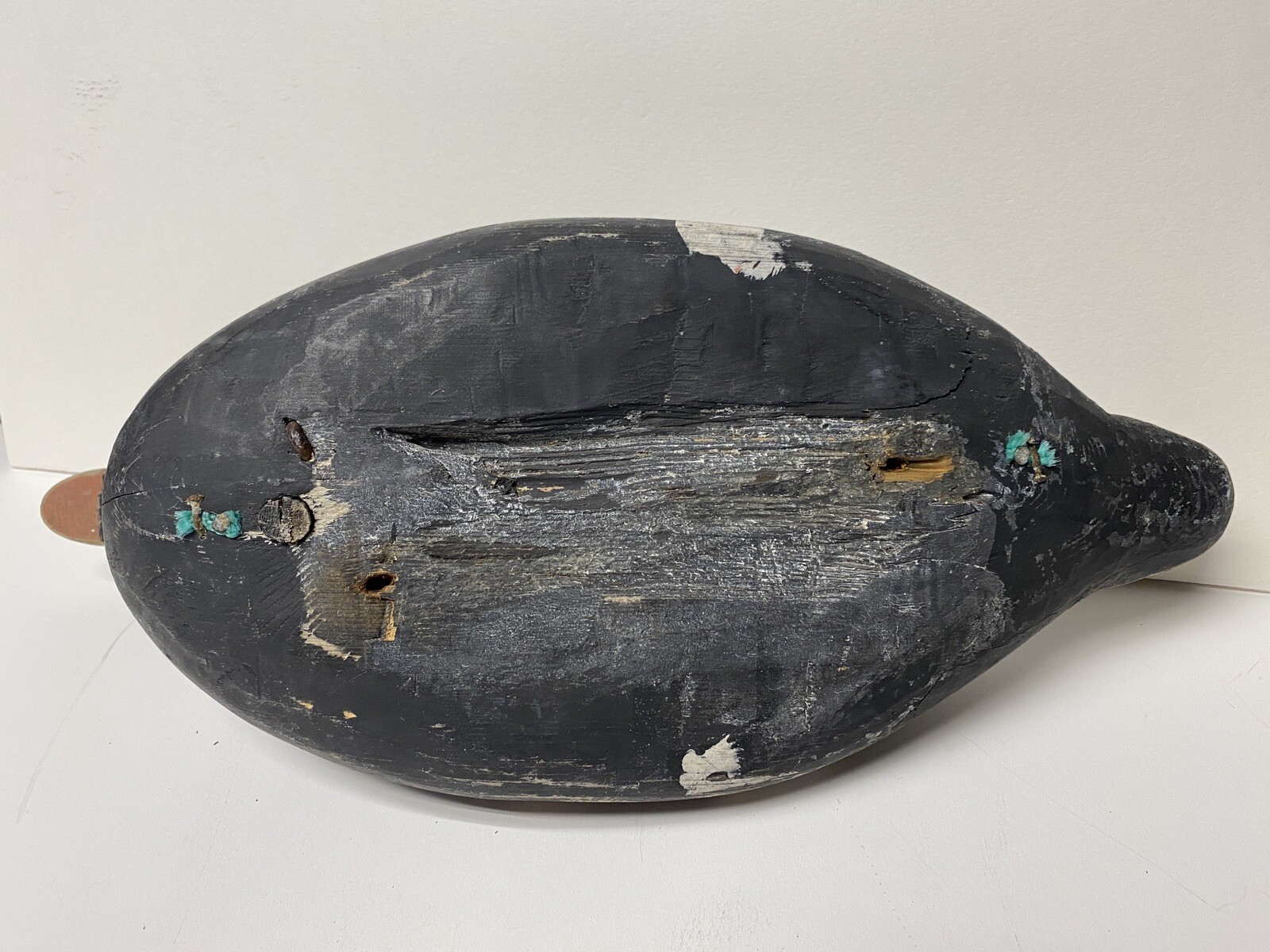 White-winged Scoter Duck Decoy, Vintage, Wood, Nailed in Head Set, Unsigned