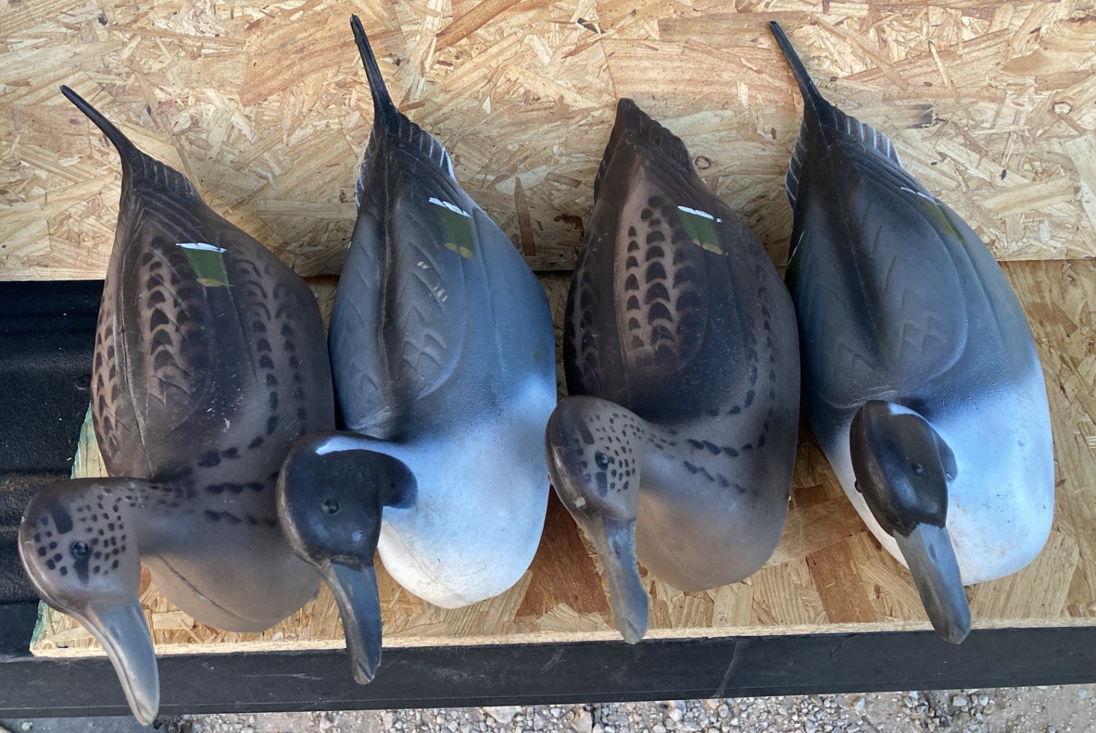 Vintage NEUMANN-BENNETT Plasti-Duk Inflatable SMOOTH PINTAIL Decoys Lot Of 4