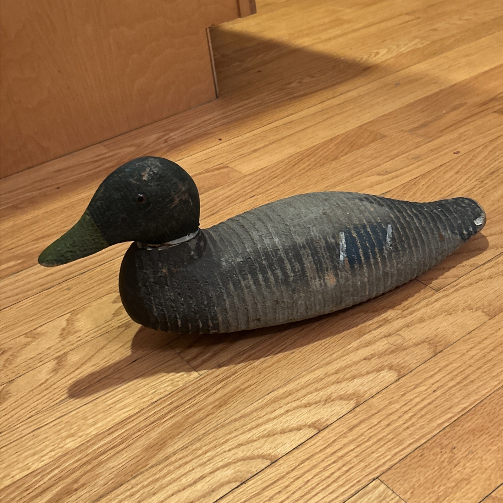Animal Trap Victor Duck Decoy Factory Bird Duck decoy Glass eyes Vintage