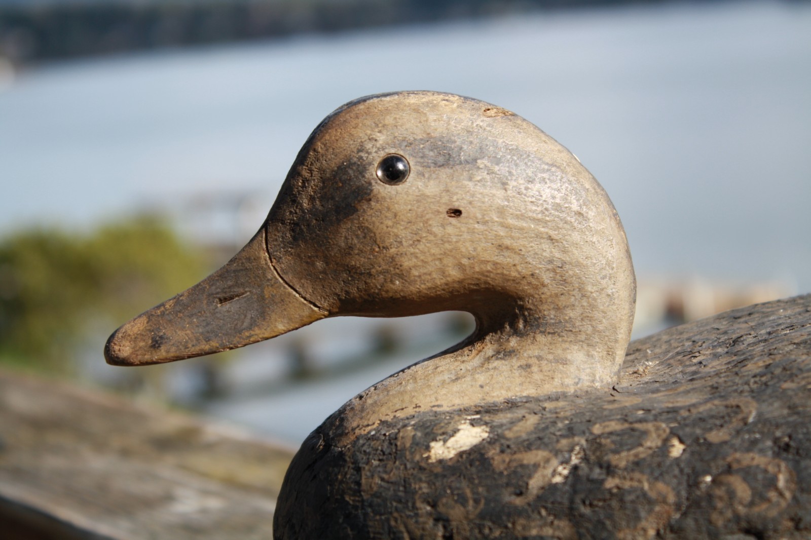 Black Duck decoy Wildfowler?, Glass eyes, cork body, repaint.