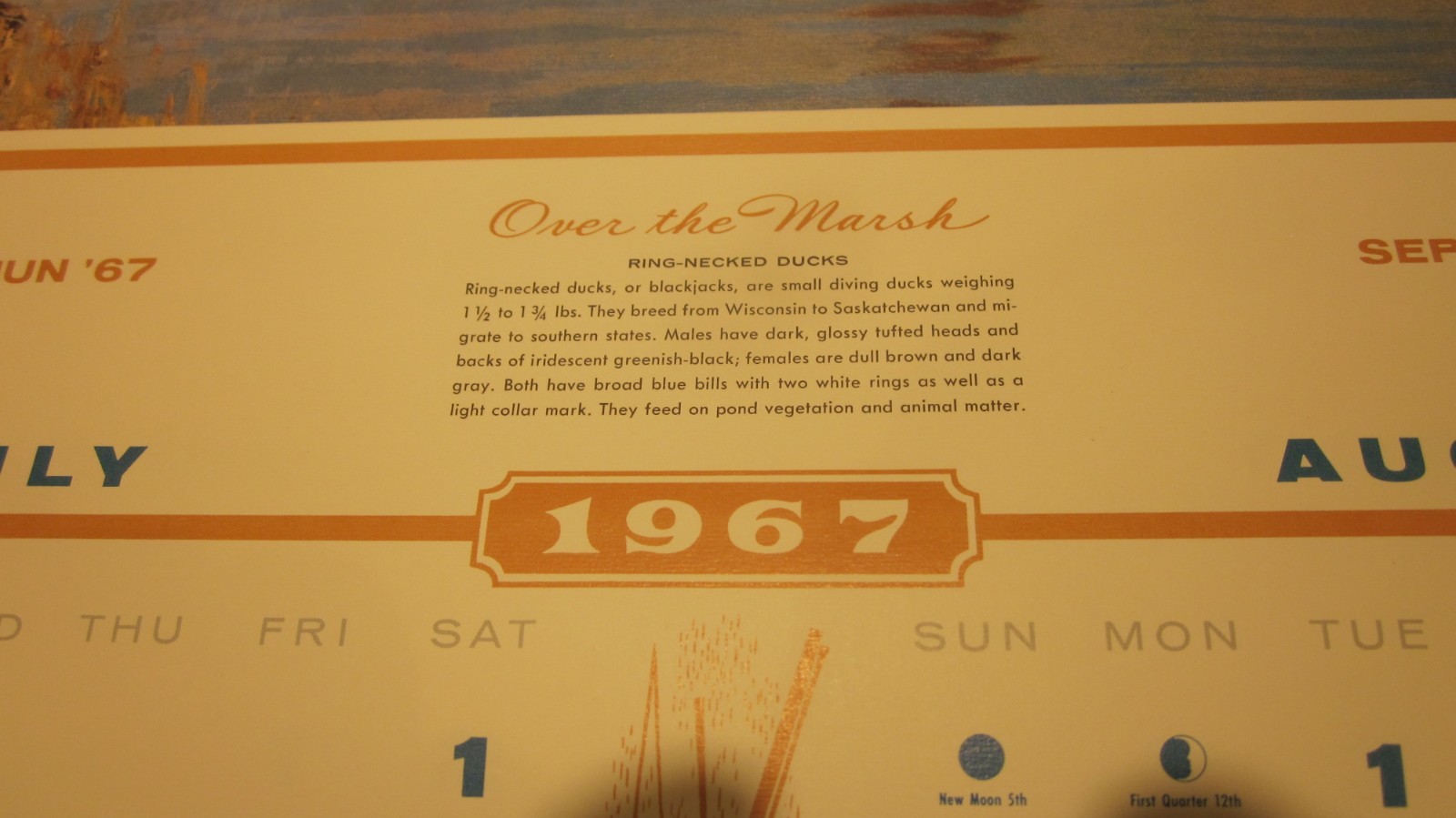 RICHARD BISHOP DUCK GOOSE HUNTING CALENDAR 1967 MC LAIN DOCK PORT JEFFERSON NY
