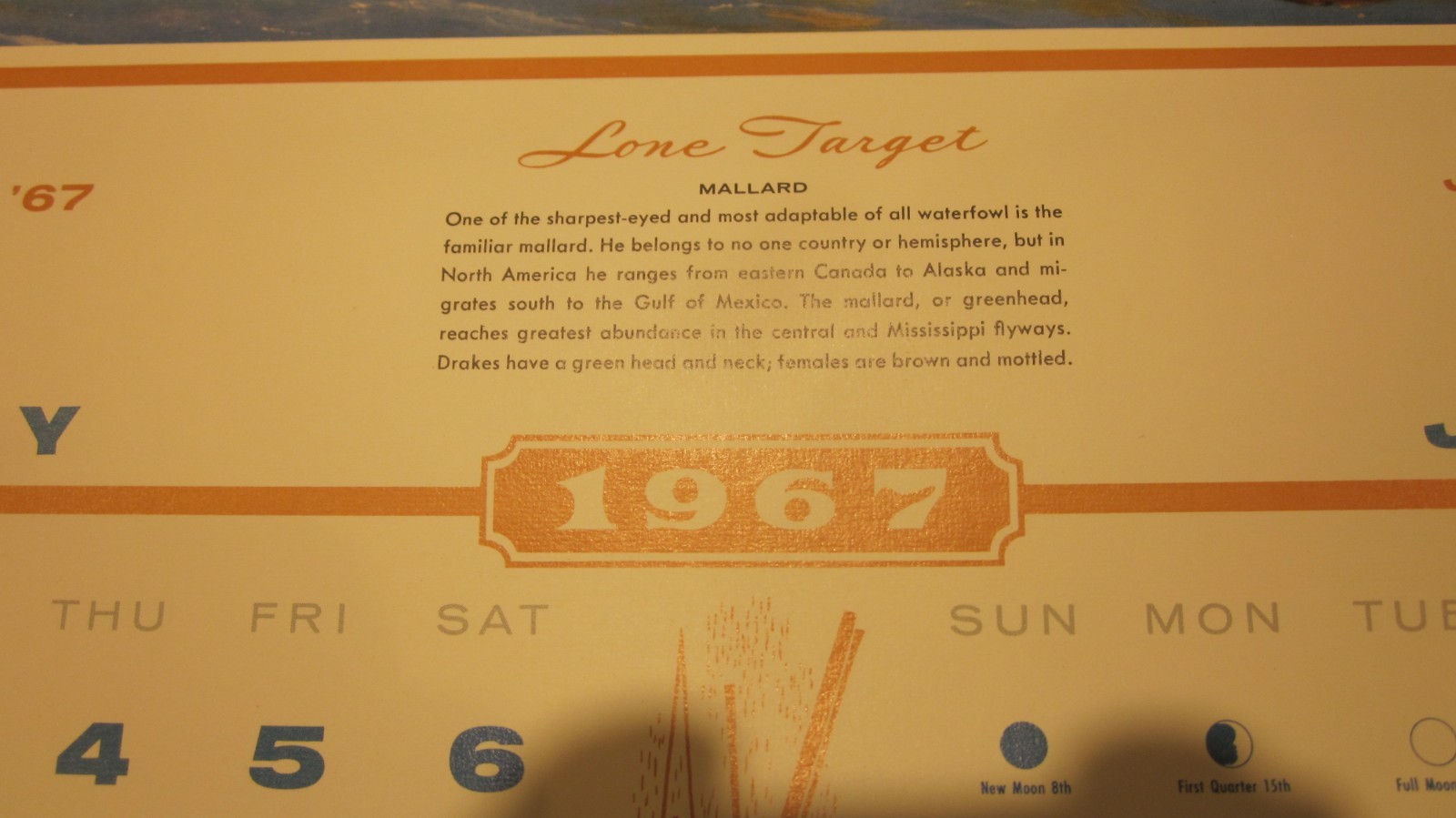 RICHARD BISHOP DUCK GOOSE HUNTING CALENDAR 1967 MC LAIN DOCK PORT JEFFERSON NY