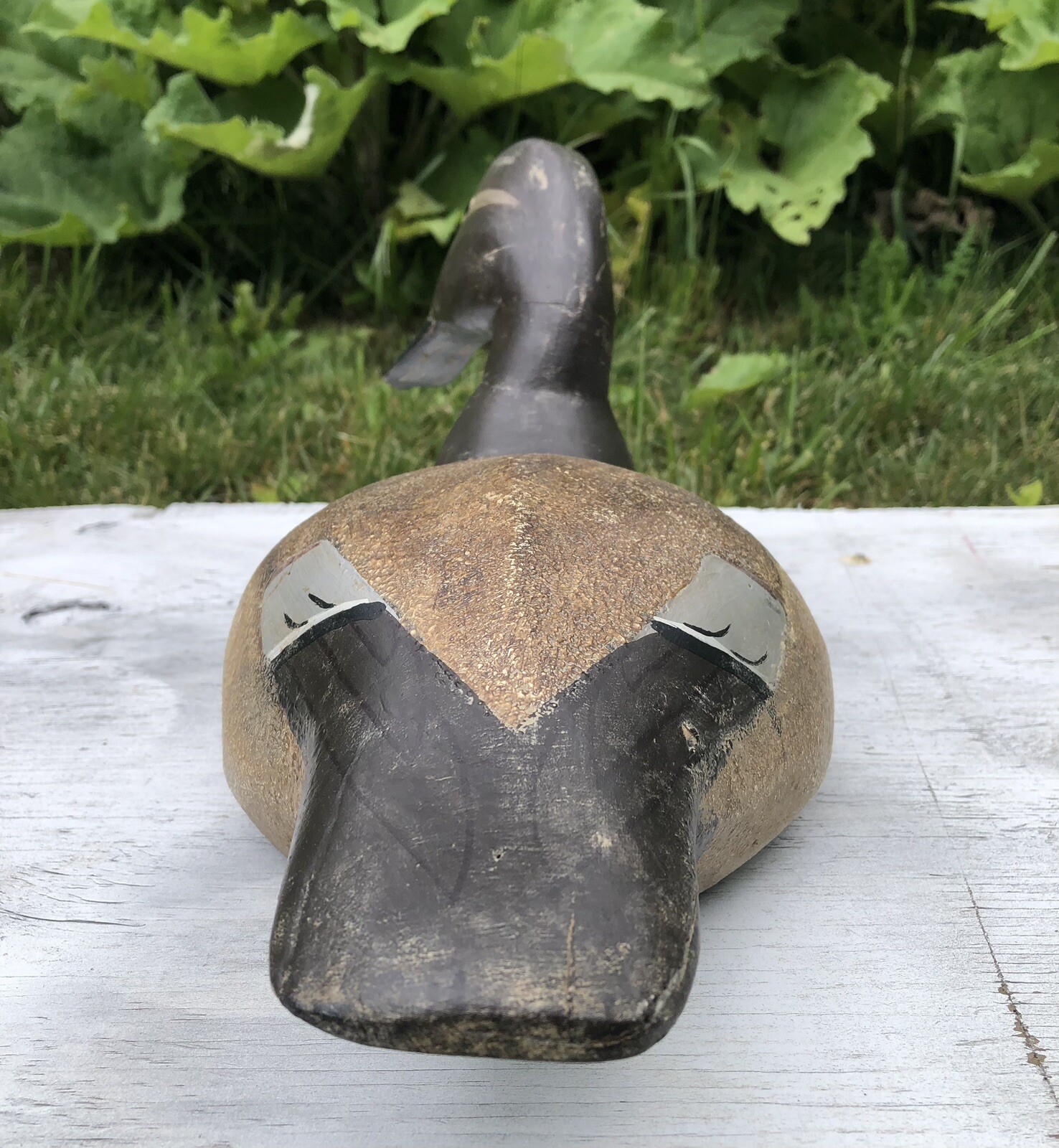 VINTAGE HEN CANVASBACK CARVED WOOD DECOY CHESAPEAKE BAY MARYLAND