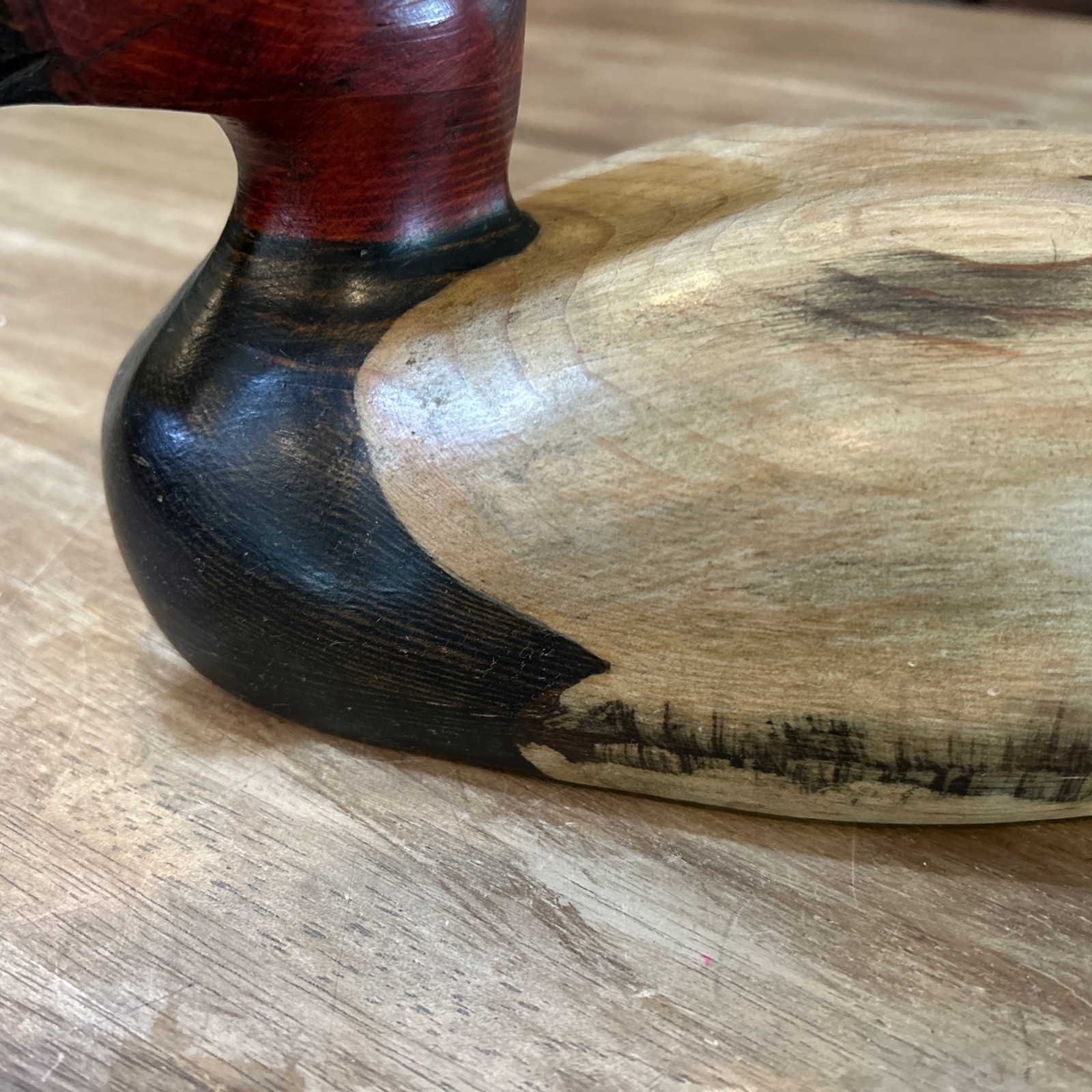 Vintage Carved And Signed Tom Taber 14 Inch Canvasback Duck Decoy