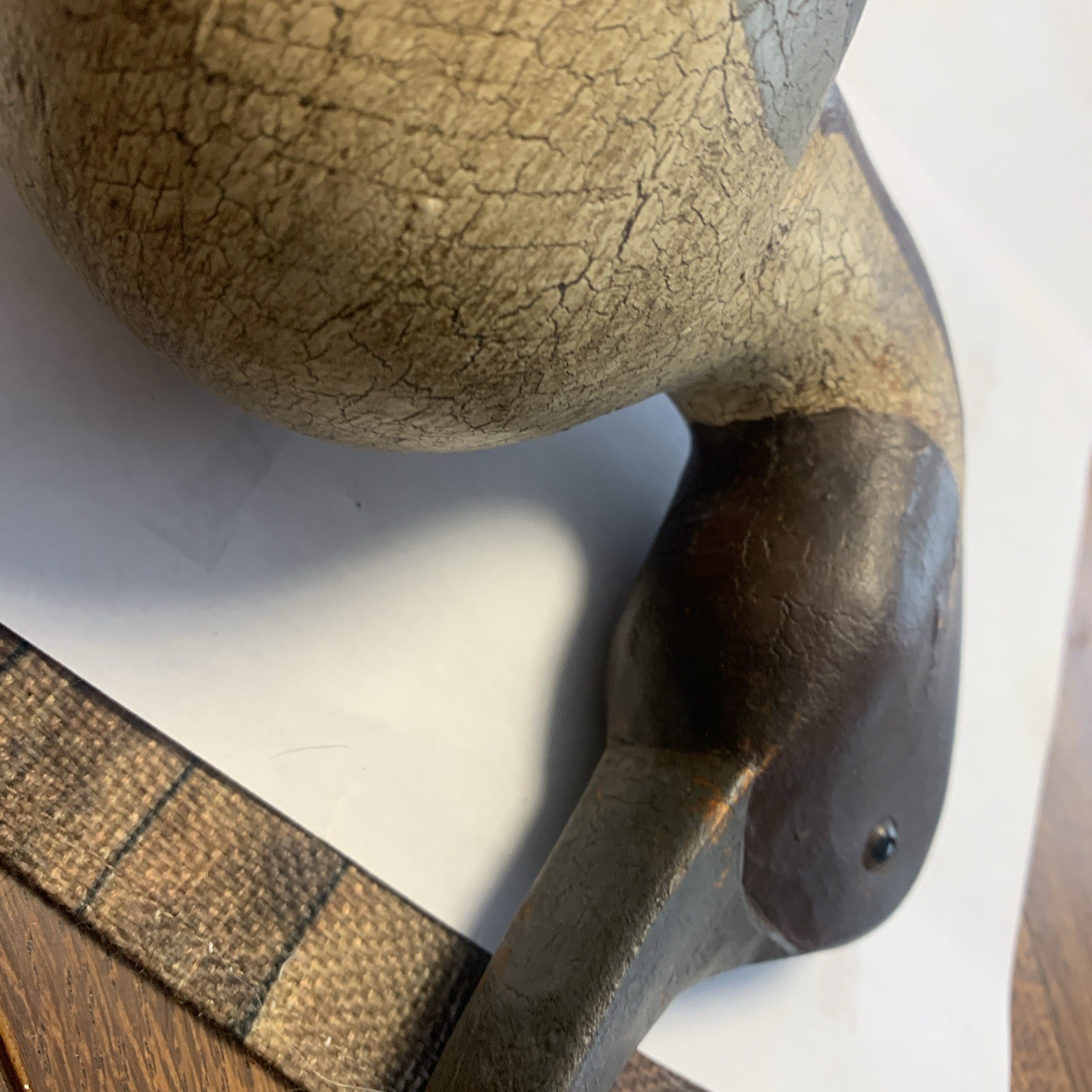 Back Bay,Virginia Pintail Duck Decoy