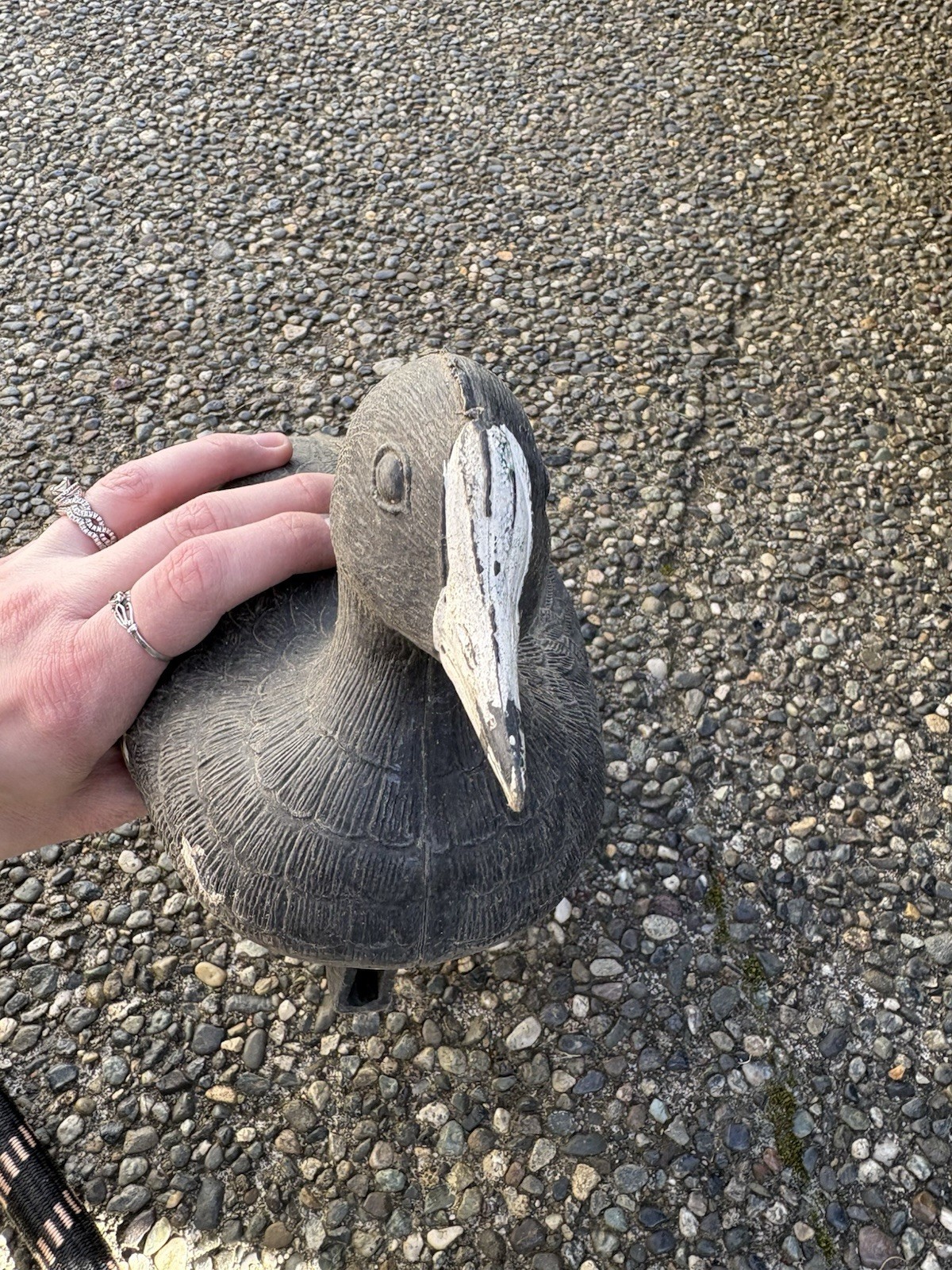 Vintage Flambeau Specialty Series Water Keel Coot Duck Decoy Made In USA Decor