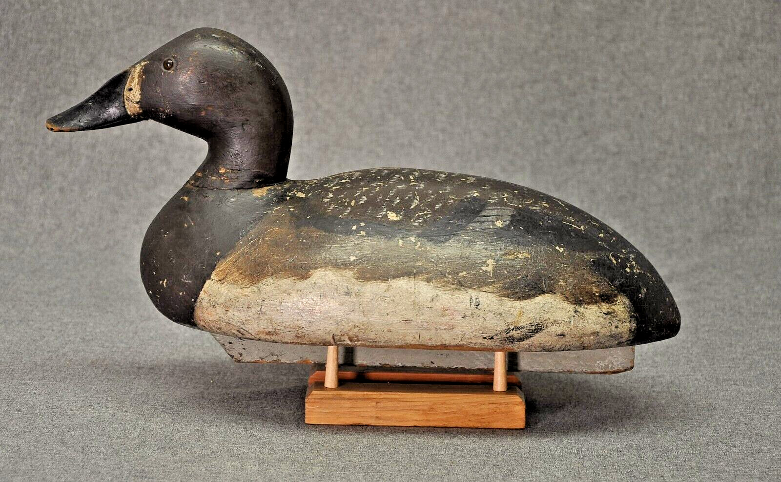 RARE TURTLE BACK ED “ONE ARM KELLIE” CANVASBACK HEN duck decoy 1900’s-10’s OP