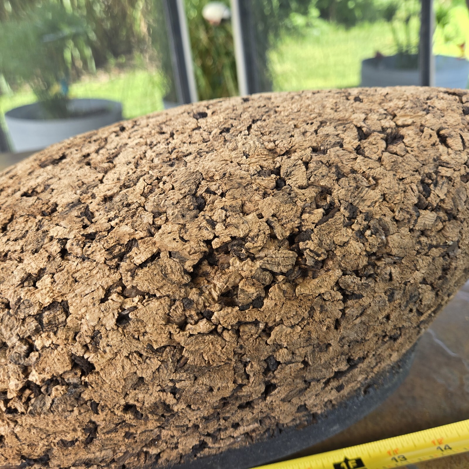 Cork Black Duck Magnum