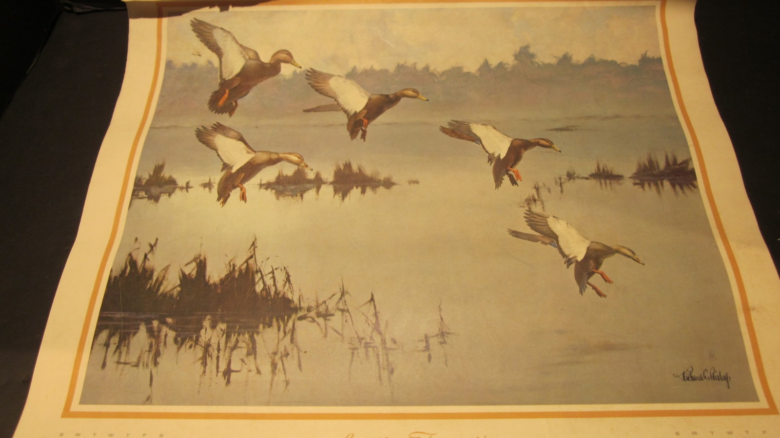 RICHARD BISHOP DUCK GOOSE HUNTING CALENDAR 1967 MC LAIN DOCK PORT JEFFERSON NY