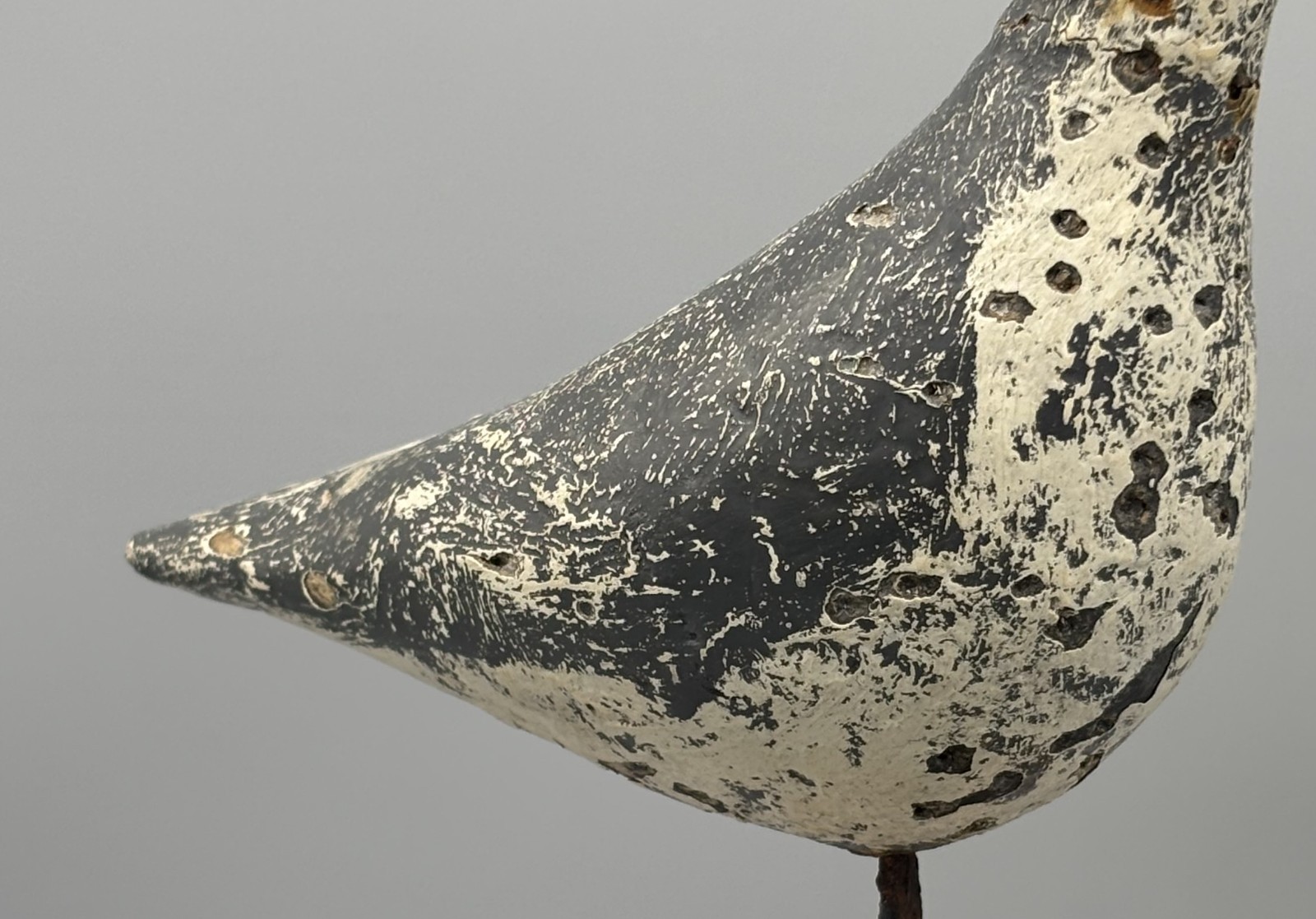 BEETLEHEAD PLOVER ANTIQUE SHOREBIRD DECOY FROM THE RENOWNED **STARR COLLECTION**