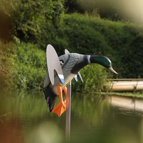 Realistic Mallard Duck Models That Hunting Enthusiasts Love as Decoys Remote