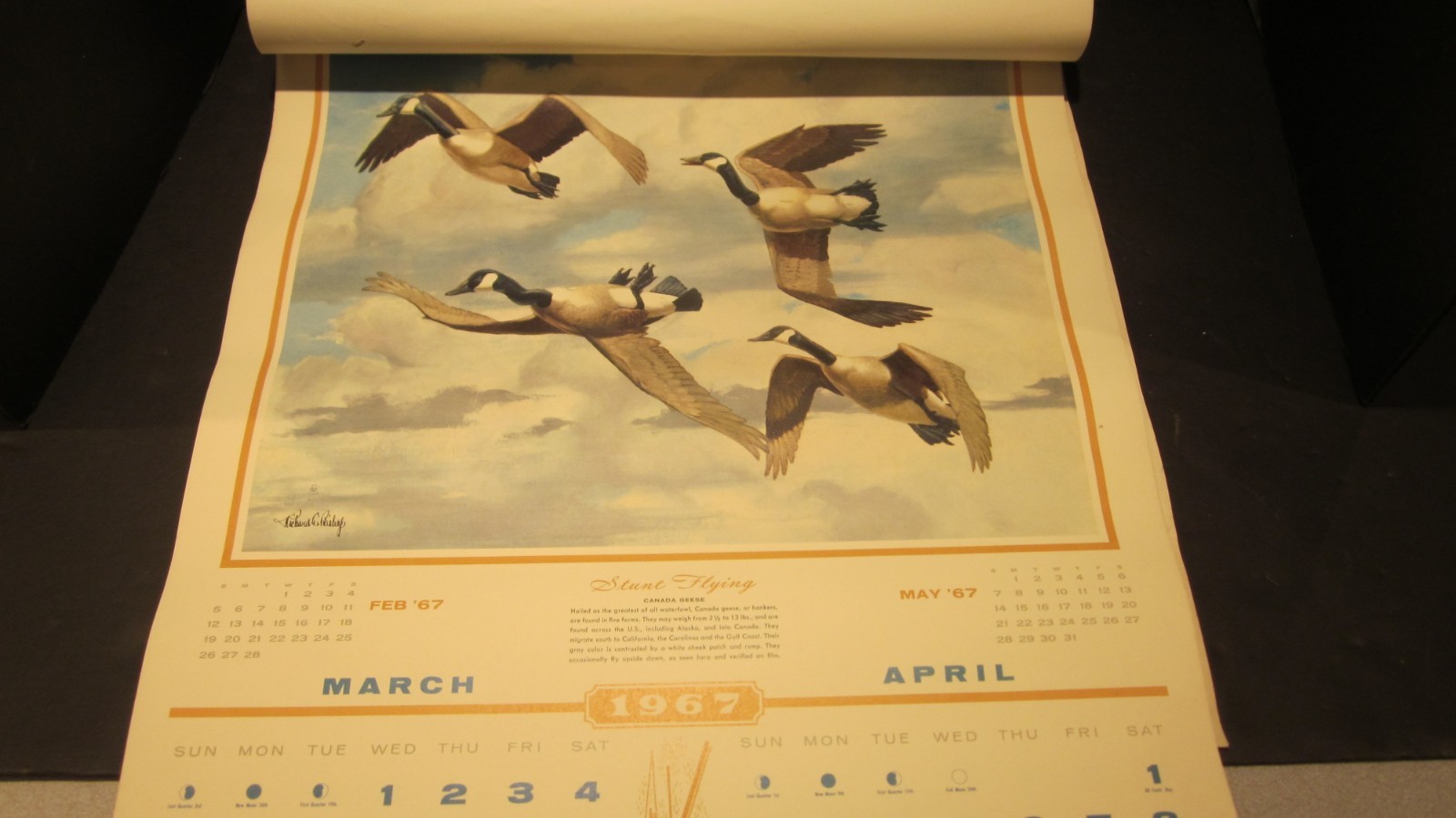 RICHARD BISHOP DUCK GOOSE HUNTING CALENDAR 1967 MC LAIN DOCK PORT JEFFERSON NY