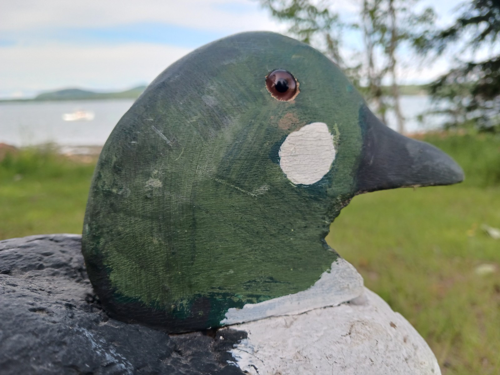 Vintage Antqiue Coastal Maine Cork & Wood Goldeneye Drake Duck Decoy Hunting 16″