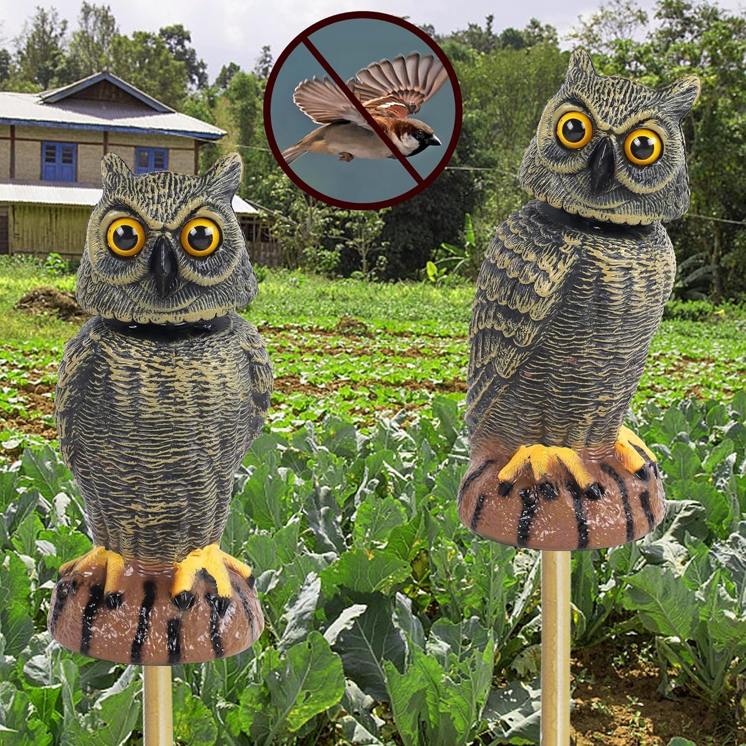Elegant Golden Owl Decoy – 10.6 Inch Garden Protector Against Pests (2 Pack)