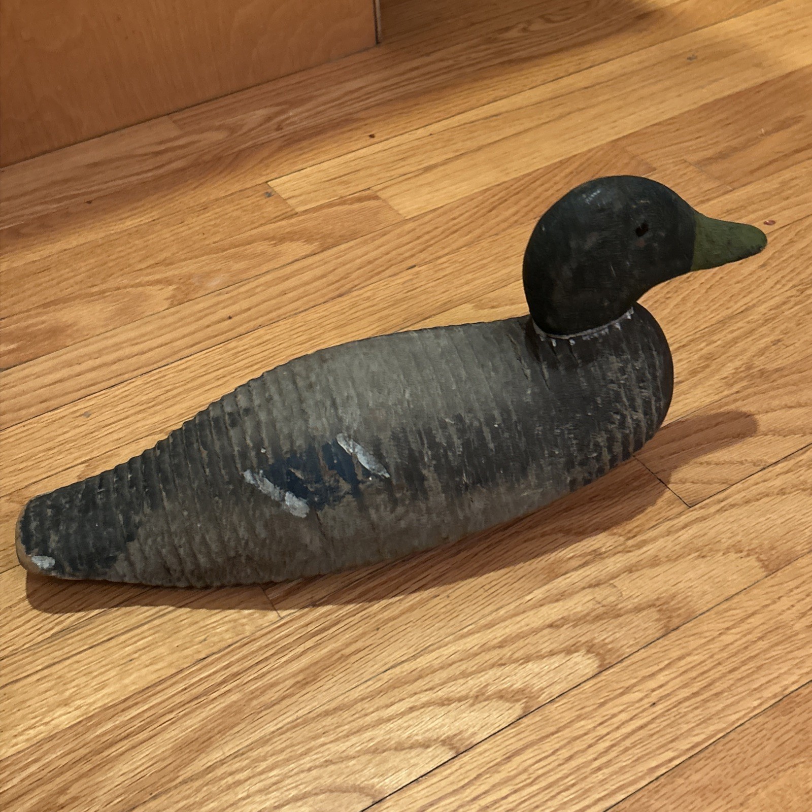 Animal Trap Victor Duck Decoy Factory Bird Duck decoy Glass eyes Vintage