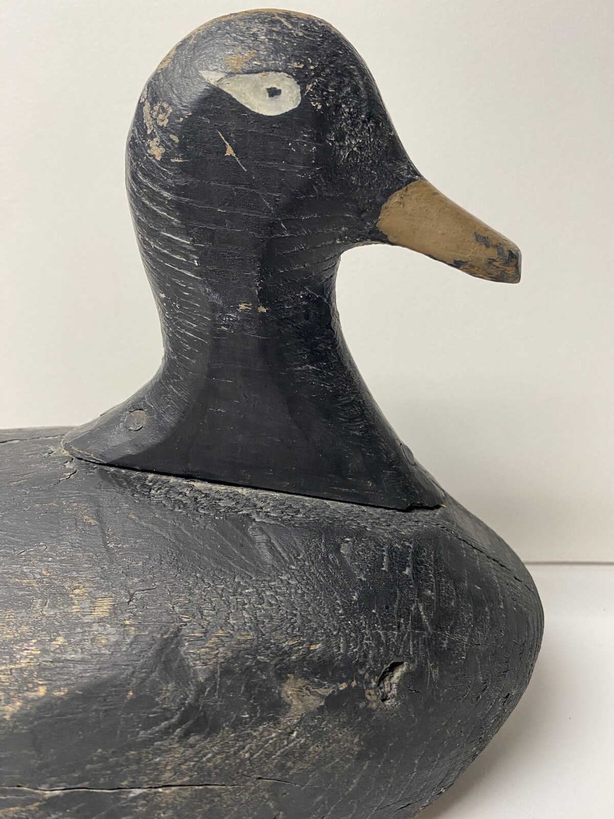 White-winged Scoter Duck Decoy, Vintage, Wood, Nailed in Head Set, Unsigned