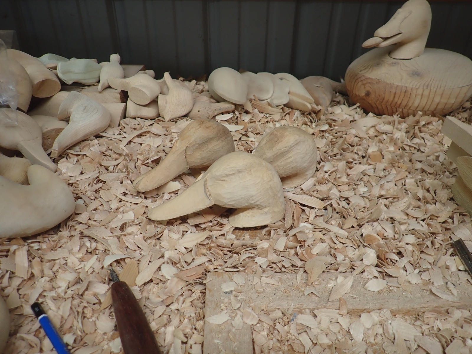 Three Unfinished Canvasback Heads