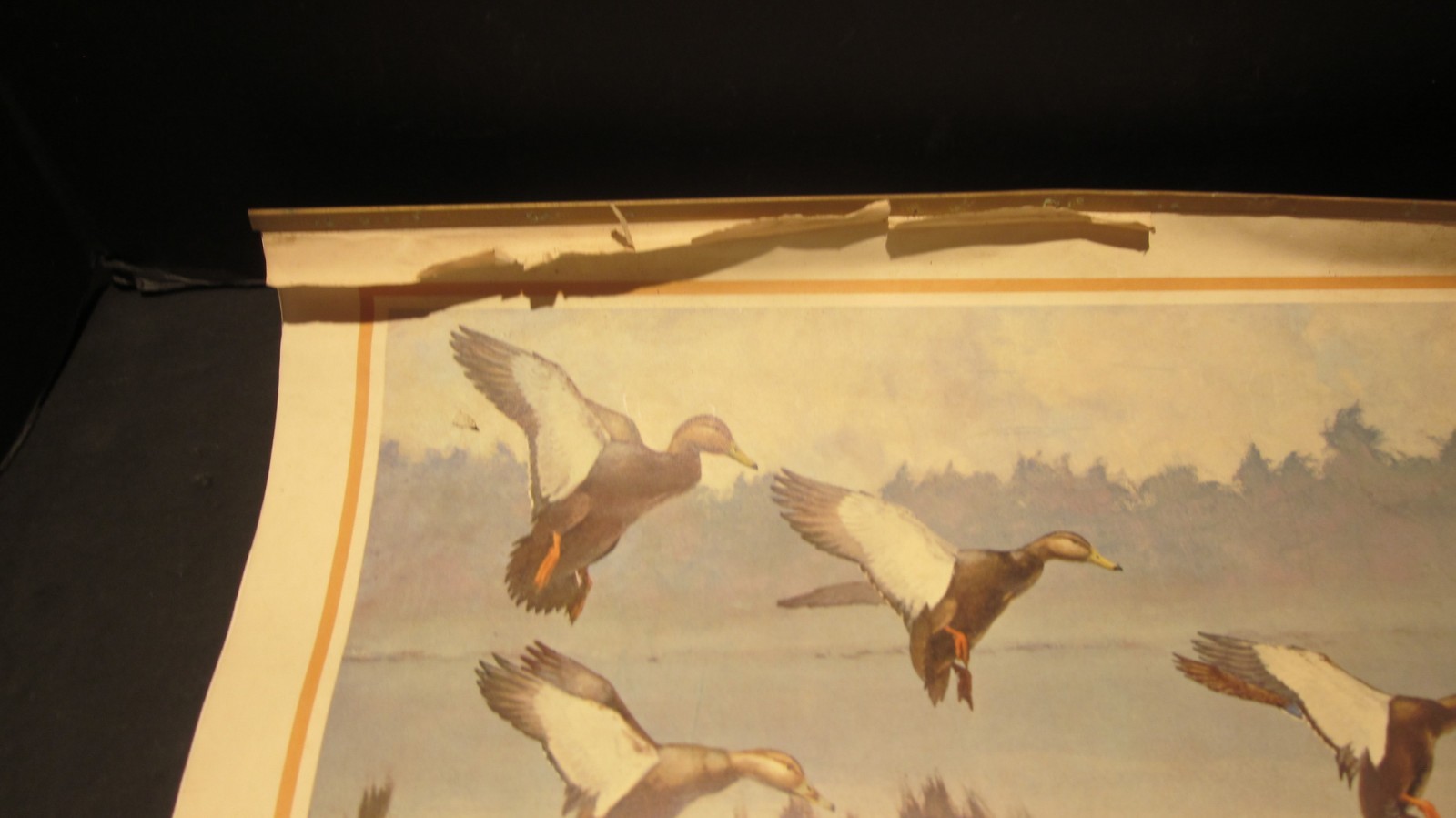 RICHARD BISHOP DUCK GOOSE HUNTING CALENDAR 1967 MC LAIN DOCK PORT JEFFERSON NY