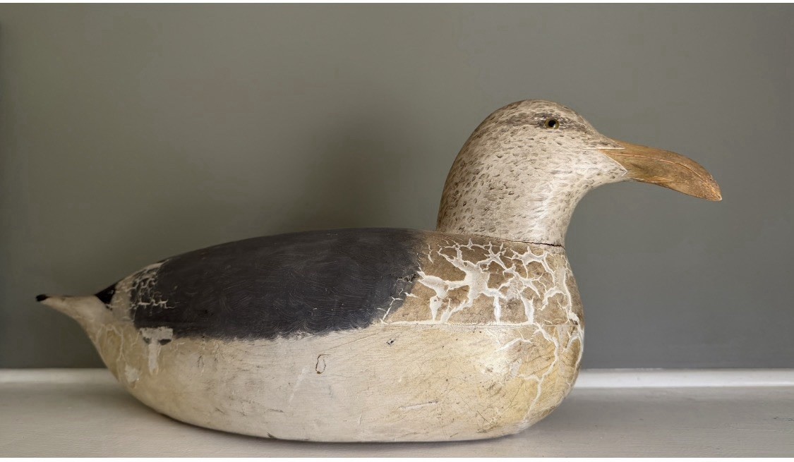 Vintage Cigar Daisey Chincoteague Solid Carved Wood Large Gull Decoy Rare