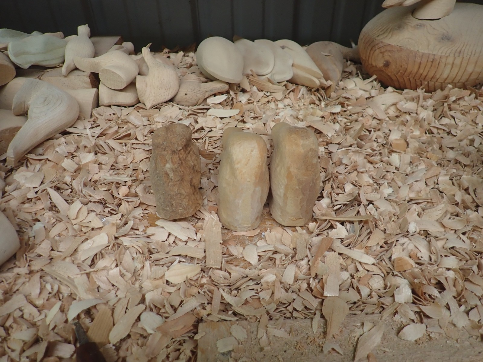 Three Unfinished Canvasback Heads