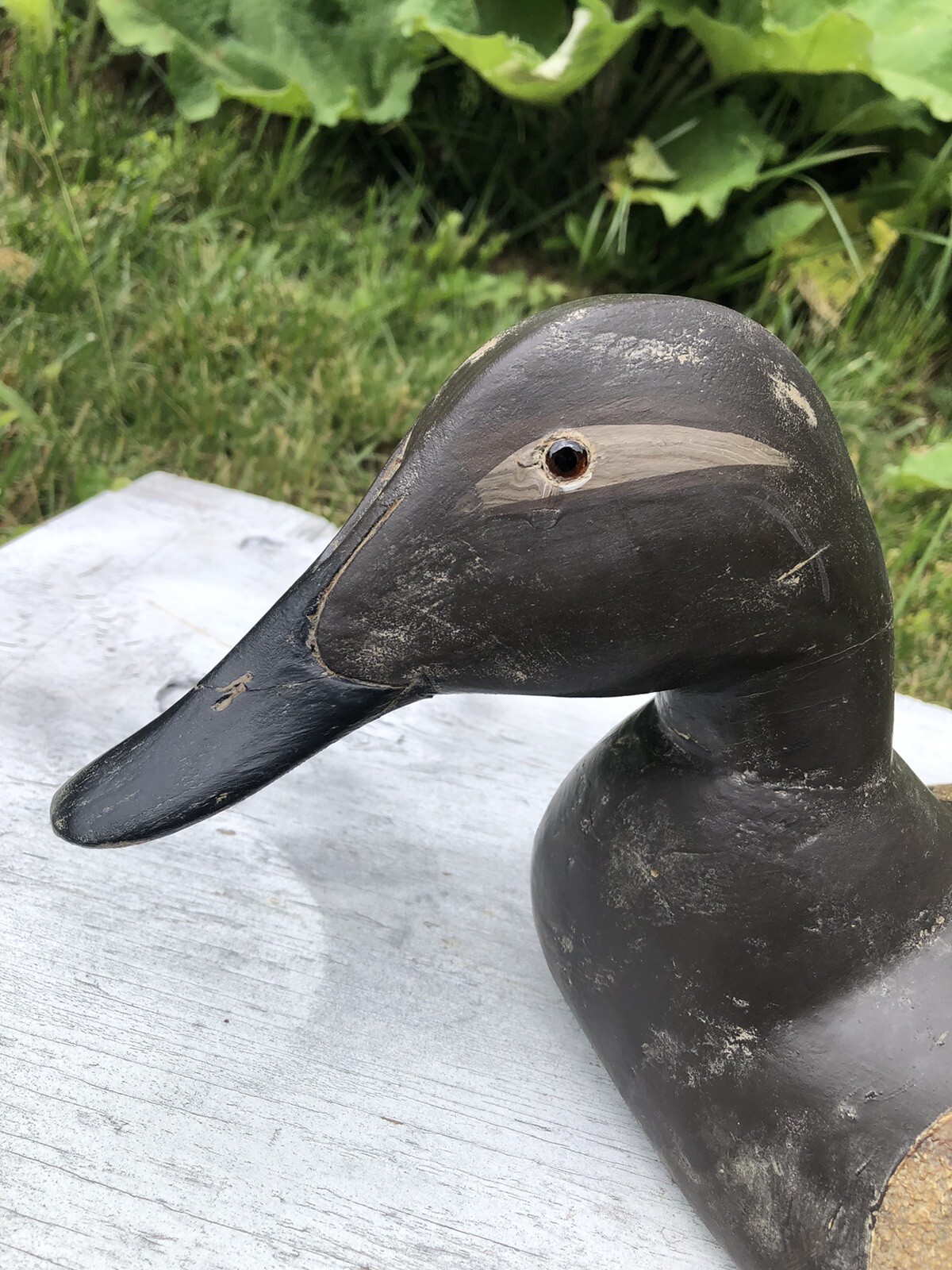 VINTAGE HEN CANVASBACK CARVED WOOD DECOY CHESAPEAKE BAY MARYLAND