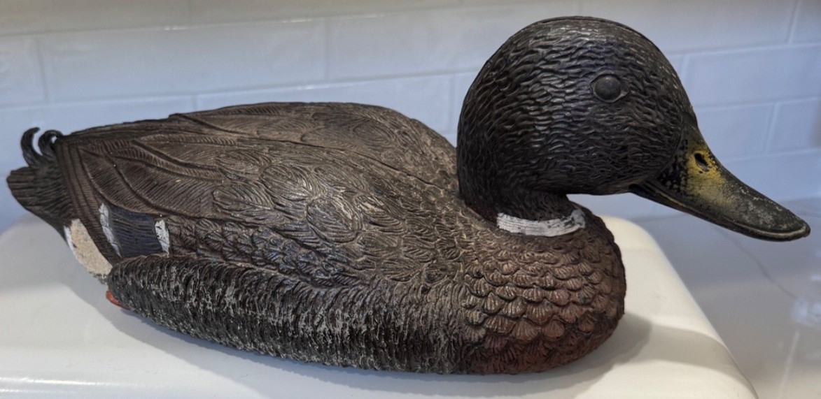 Vintage Duck Decoy Mallard Hen 16″ Realistic feathers Floats Made In Italy