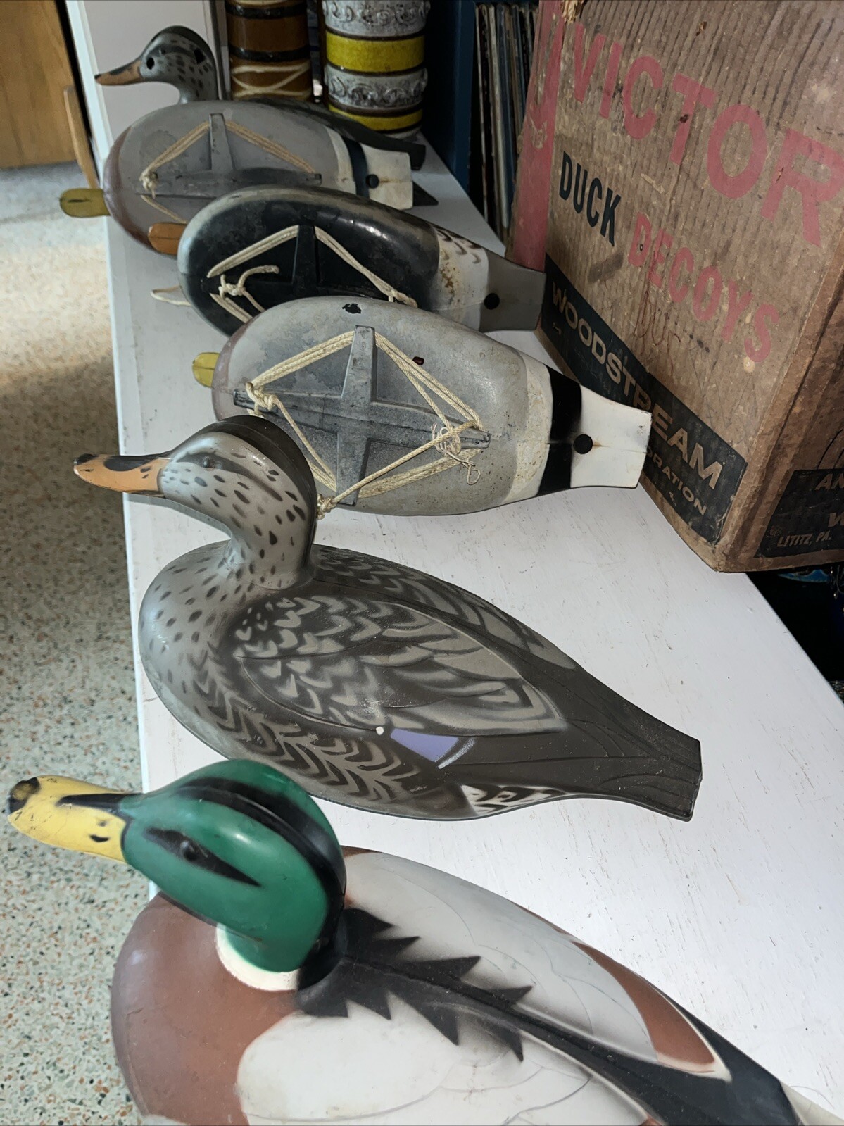 Vintage Victor Woodstream Co. Lot Of 6 Plastic Duck Decoys With Original Box