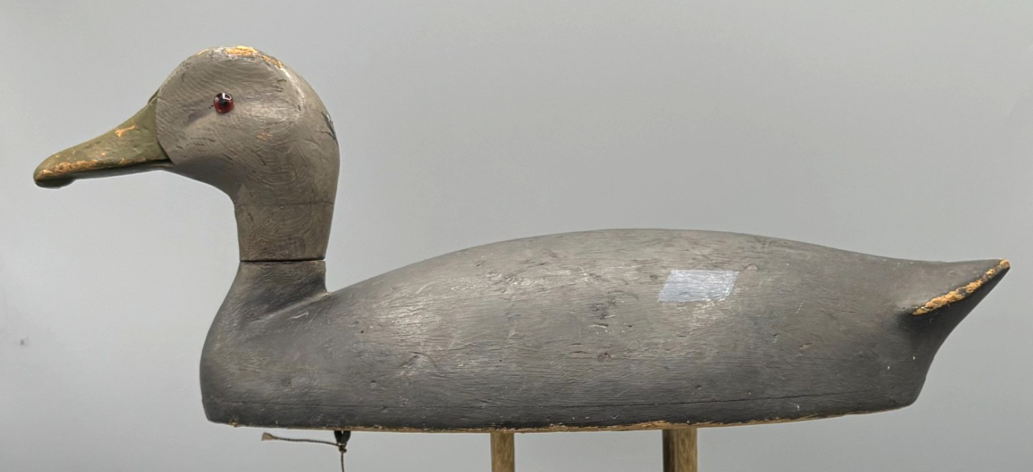 **ORIGINAL PAINT** KINGSTON ONTARIO(?) BLACK DUCK ANTIQUE DECOY “EGGSHELL THIN”