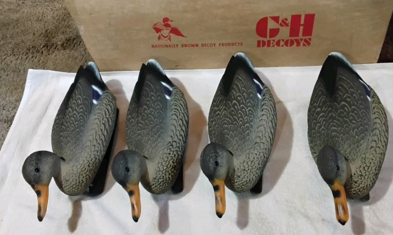 VINTAGE G&H DUCK DECOY CO. 6 OF EACH DECOY MALE & FEMALE NEW USA 🇺🇸