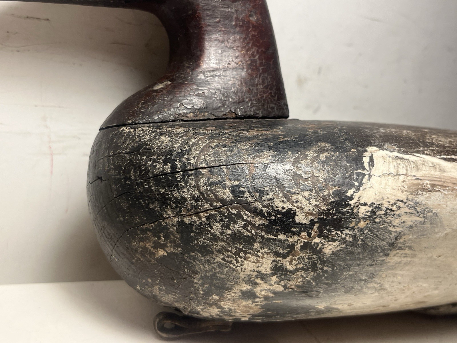columbus lum fletcher canvasback drake duck decoy swan creek maryland