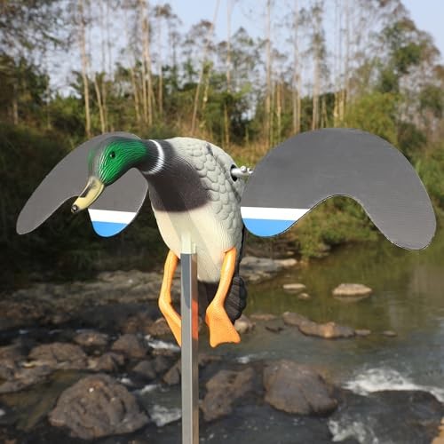 Realistic Mallard Duck Models That Hunting Enthusiasts Love as Decoys Remote