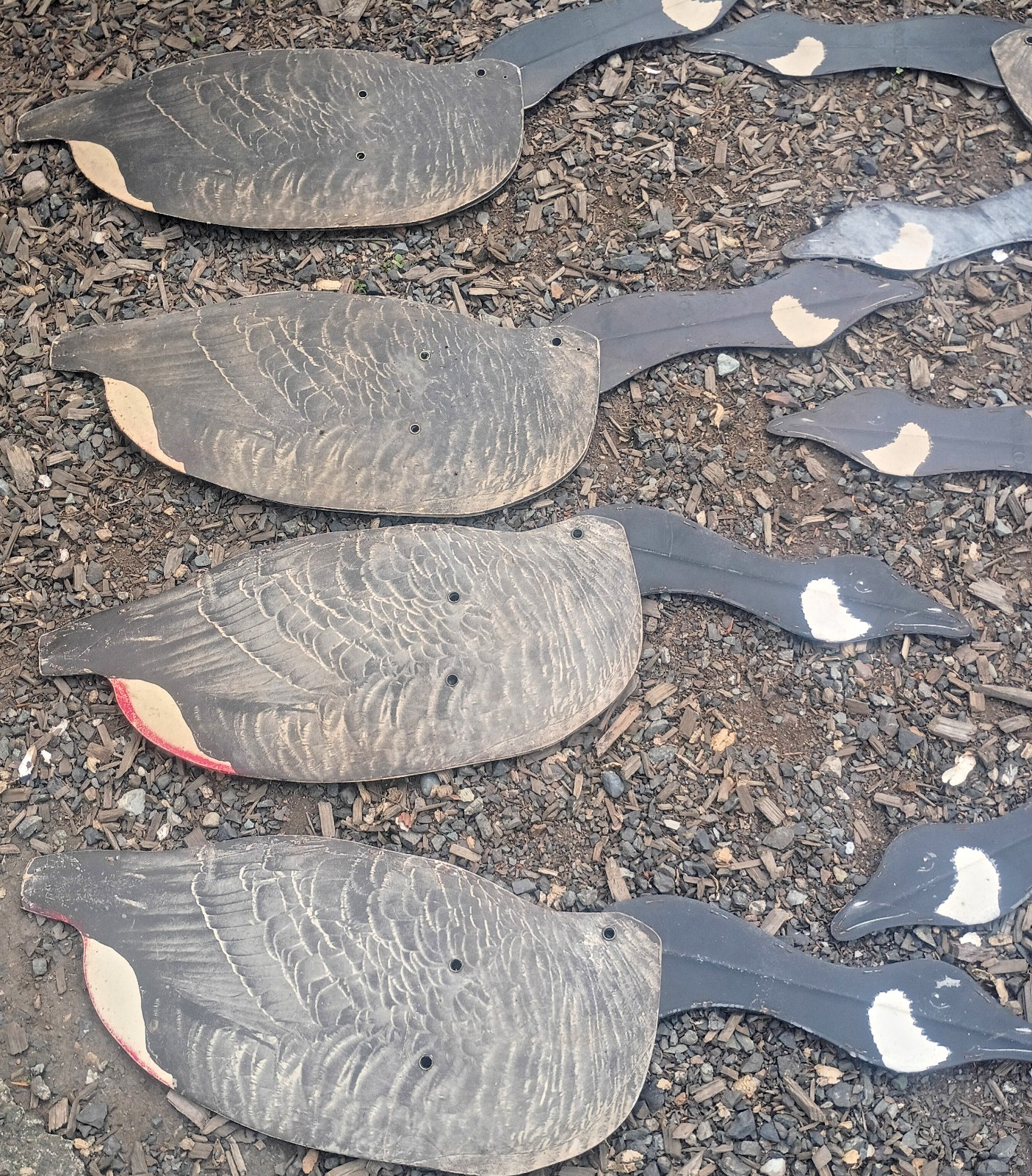 20 Johnsons Folding Goose Decoys Wax Fiberboard Storage Bags Stakes Seattle 1940