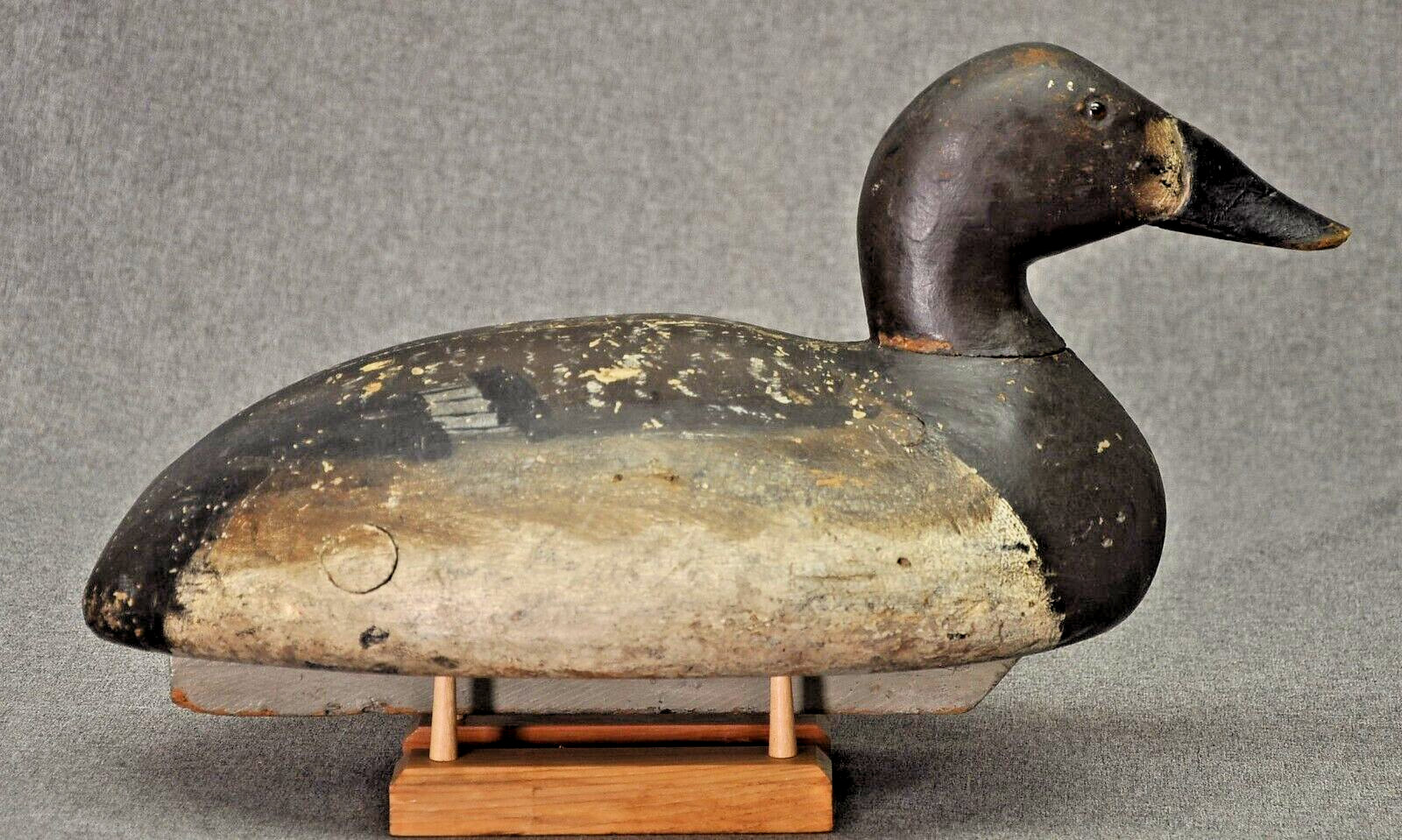 RARE TURTLE BACK ED “ONE ARM KELLIE” CANVASBACK HEN duck decoy 1900’s-10’s OP