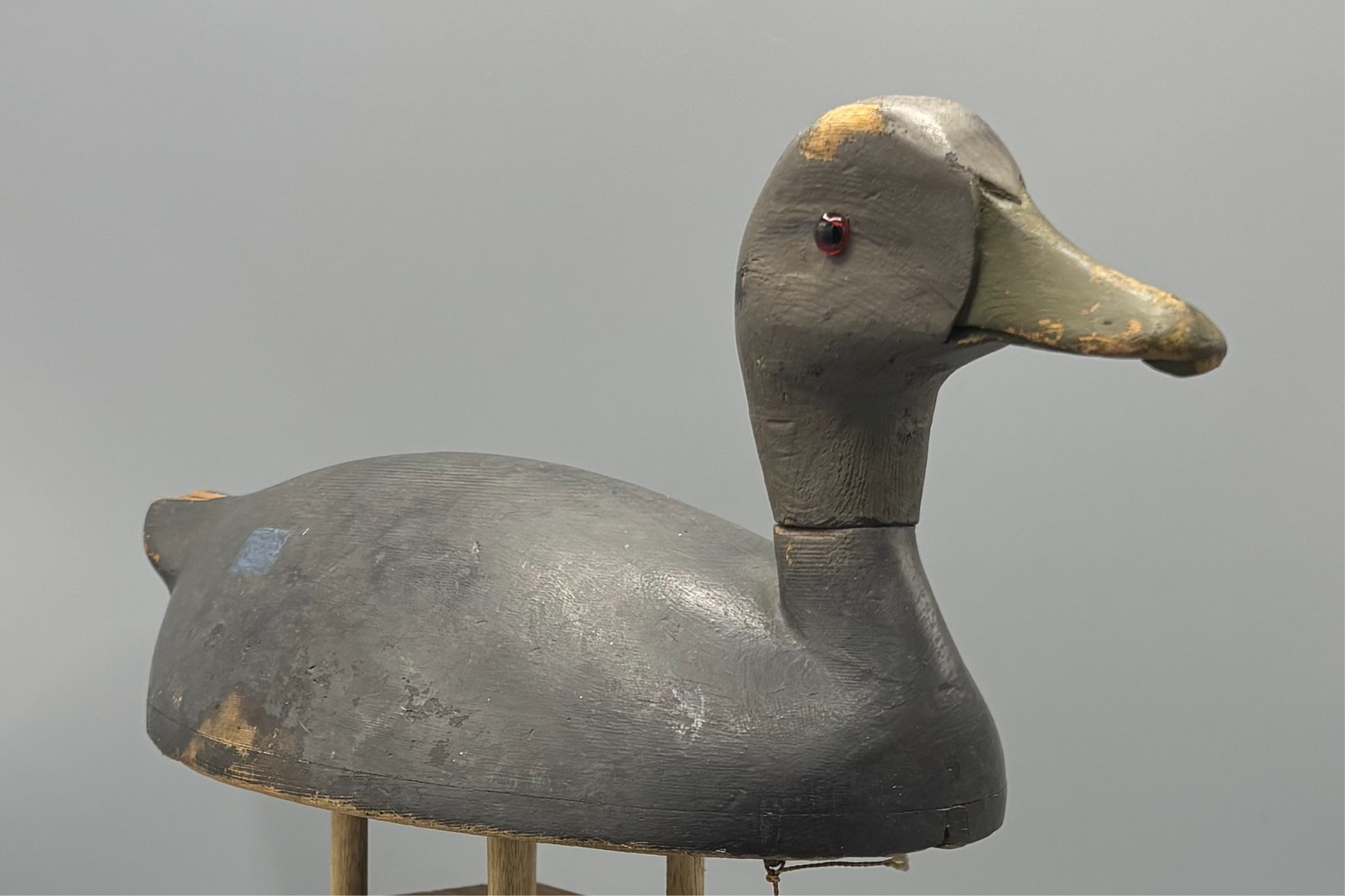 **ORIGINAL PAINT** KINGSTON ONTARIO(?) BLACK DUCK ANTIQUE DECOY “EGGSHELL THIN”
