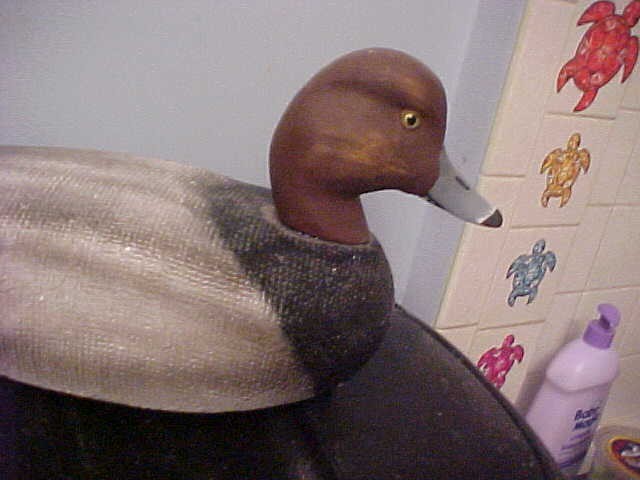 AUTUMN WINGS 72 SERIES RED HEAD DUCK DECOY