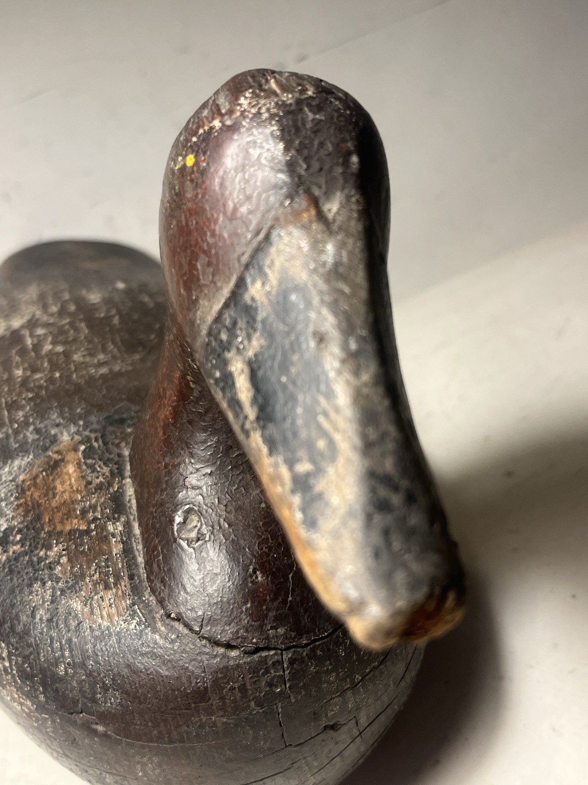 columbus lum fletcher canvasback drake duck decoy swan creek maryland