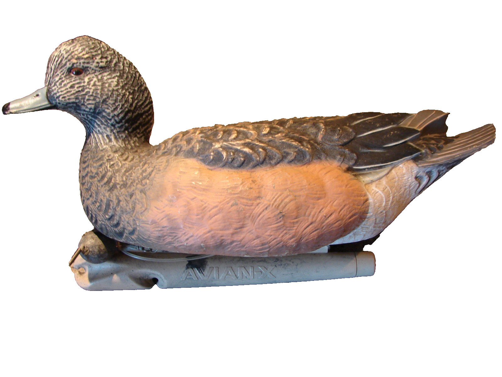 Vintage Avian X Topflight Wigeon SH Duck Decoy Weighted 2016 Preowned Nice !!