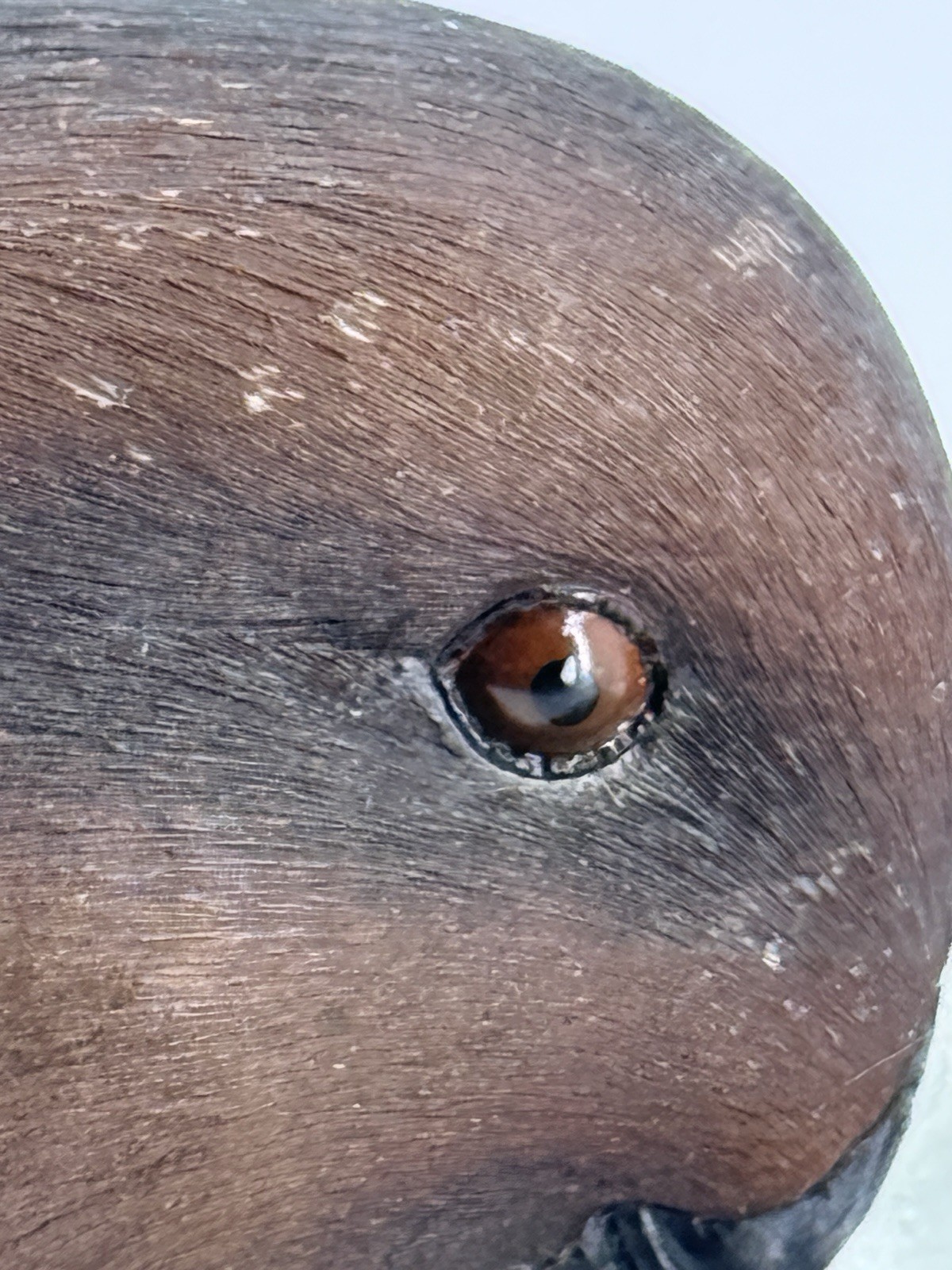 Danbury Mint Pintail Duck Decoy by George Kruth