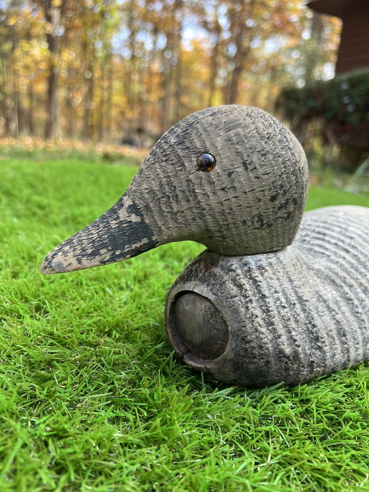 Victor Wooden Decoy -Glass Eyes.