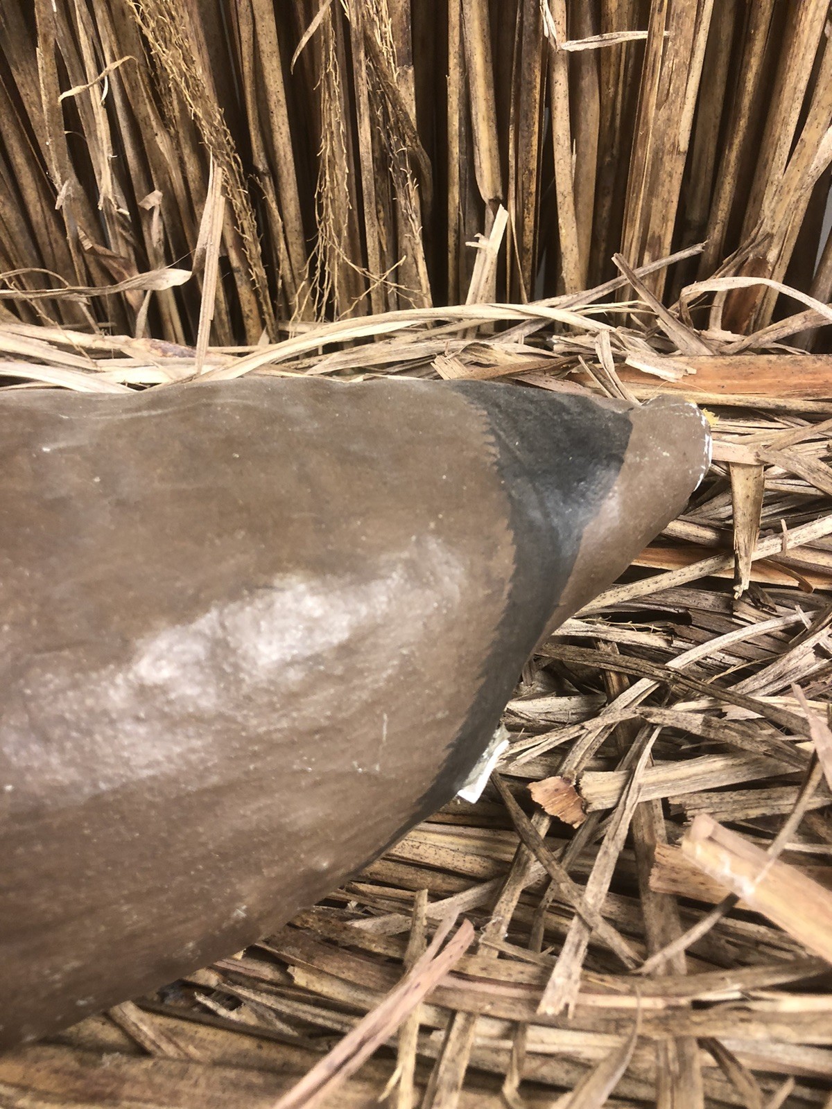 Rare Vintage Canvas Cloth Constructed Canvasback Hand Painted Duck Decoy 14in