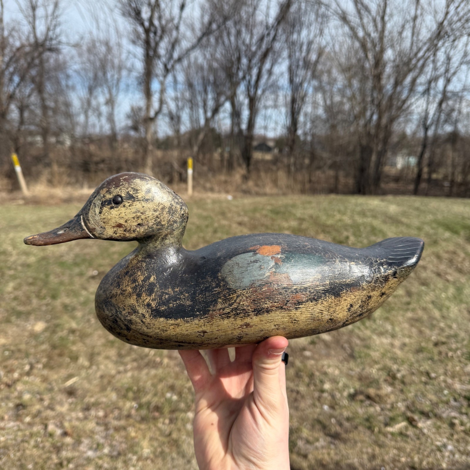 Antique 1880s Dodge Teal Duck Decoy Original Paint Early Hunting Tack Eye