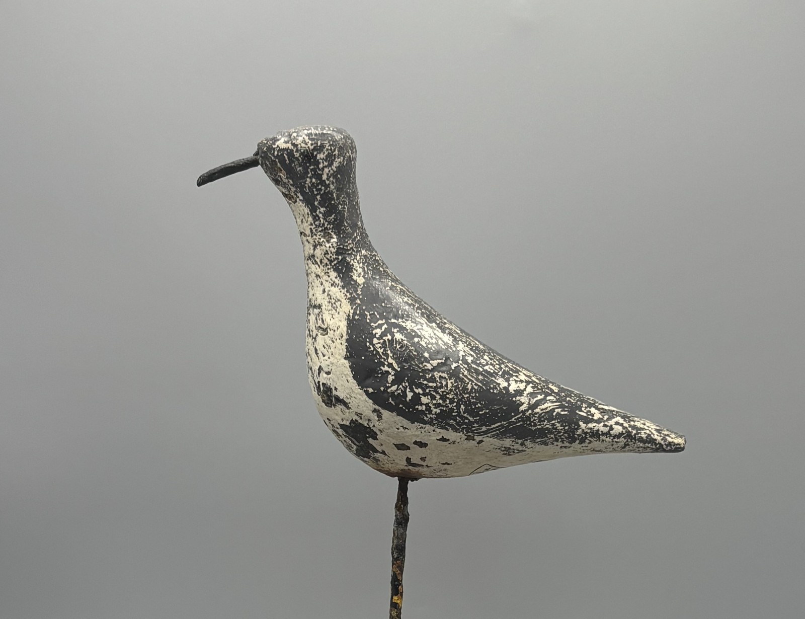 BEETLEHEAD PLOVER ANTIQUE SHOREBIRD DECOY FROM THE RENOWNED **STARR COLLECTION**