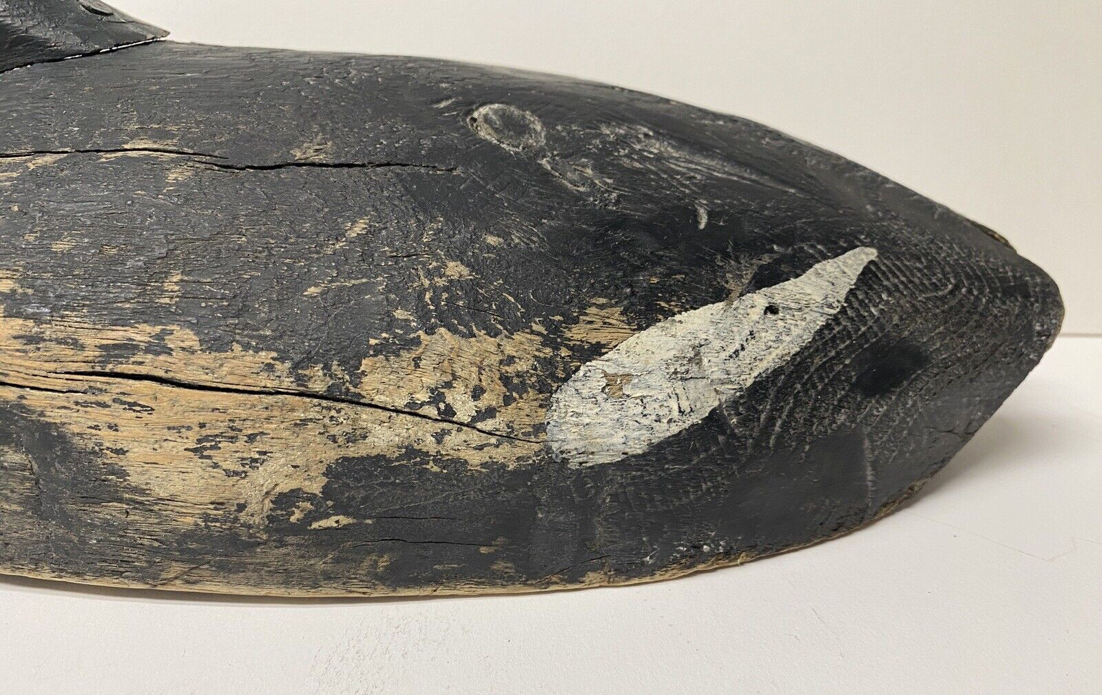 White-winged Scoter Duck Decoy, Vintage, Wood, Nailed in Head Set, Unsigned