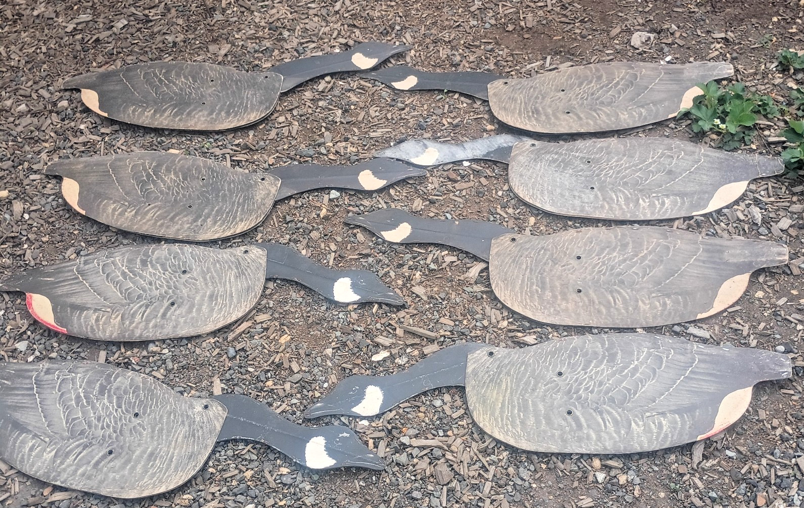 20 Johnsons Folding Goose Decoys Wax Fiberboard Storage Bags Stakes Seattle 1940