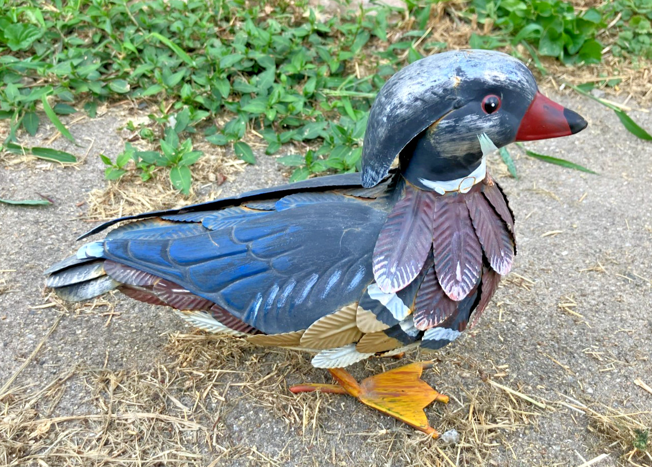 Vintage Metal Duck Decoy Male Mandarin Metal Wings 11 in tall Primitive Rare!