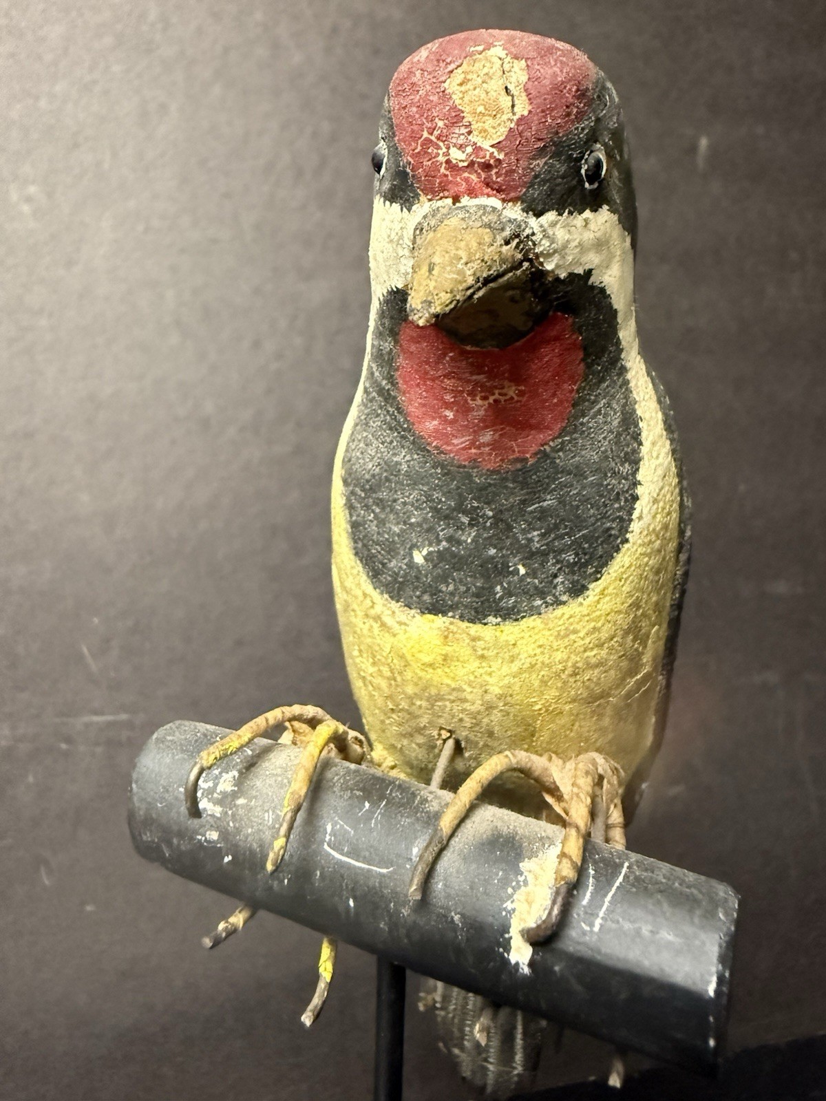 Yellow-bellied Sapsucker Carved Decoy on Display Perch/Stand, Antique, Unsigned
