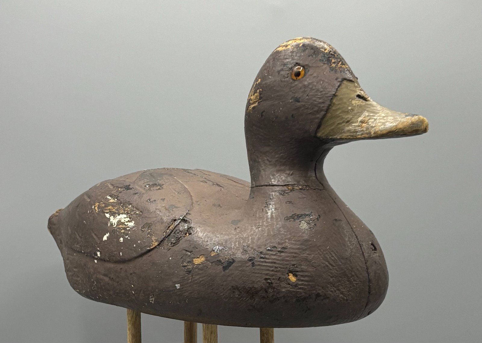 **UNUSUAL** QUEBEC VERTICAL SEAM BLACK DUCK ANTIQUE DECOY