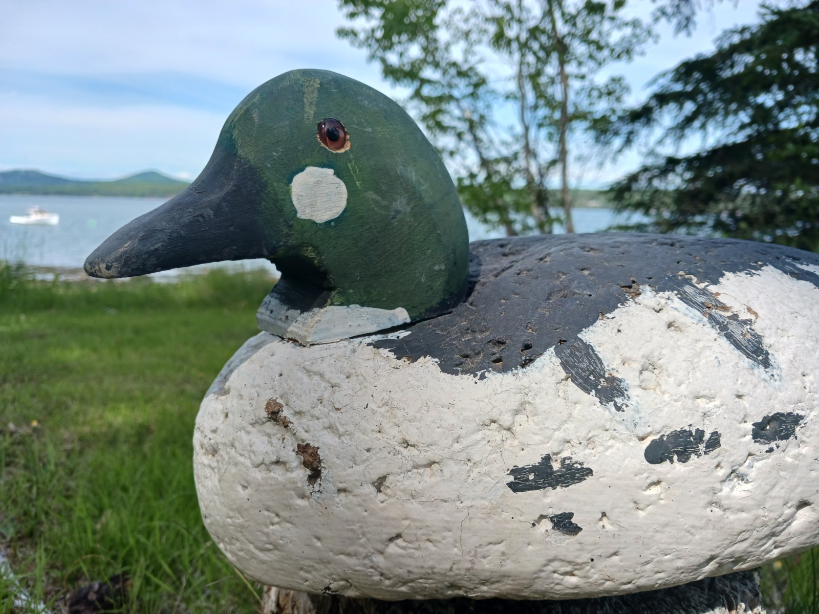 Vintage Antqiue Coastal Maine Cork & Wood Goldeneye Drake Duck Decoy Hunting 16″